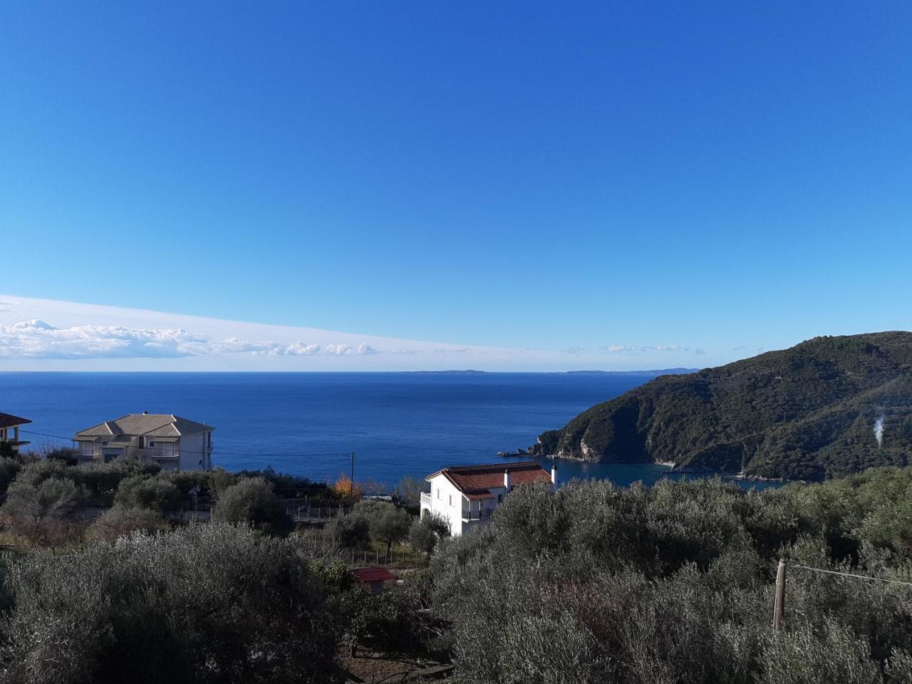 Olive Tree Apartments Parga Exteriér fotografie