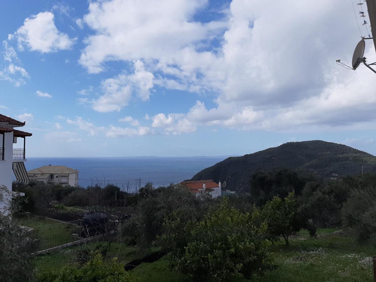 Olive Tree Apartments Parga Exteriér fotografie